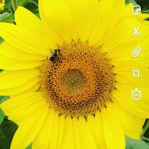 Meet your poshmark Ginger Bacon